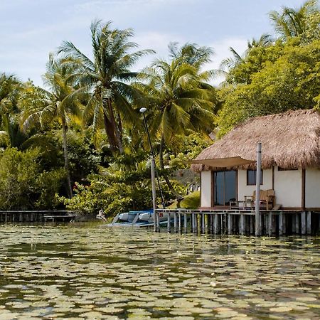 Lagoon Front Hut: Daily Cleaning, Bikes & Kayaks! Bacalar Exteriér fotografie